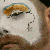 faces_icon
