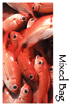 Mixed Bag Photo Gallery